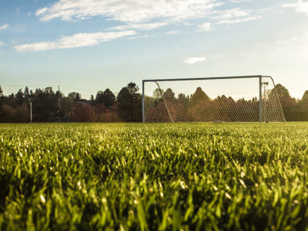 Anlage und Pflege eines Fußballplatzrasens