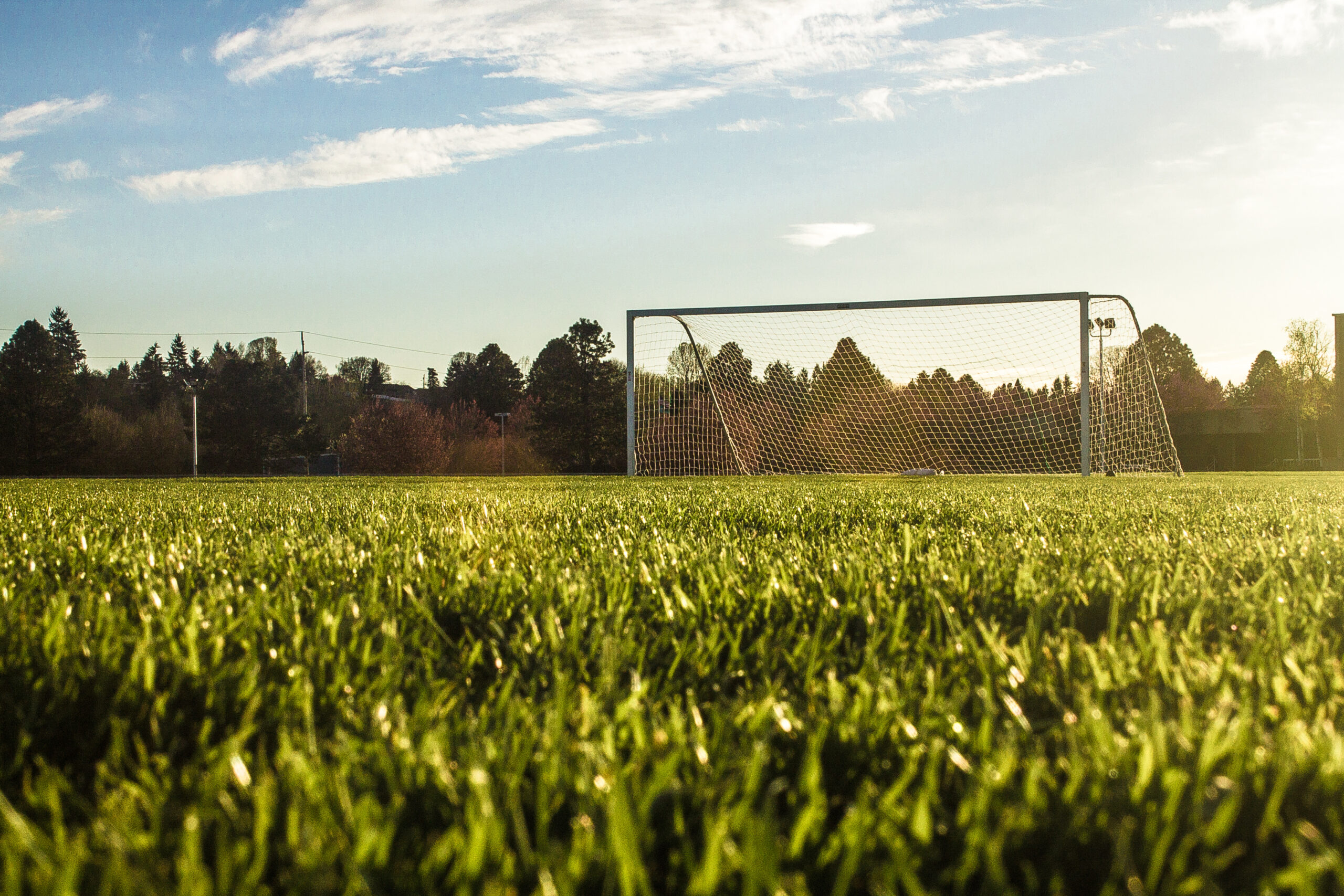 Fußballplatzrasen
