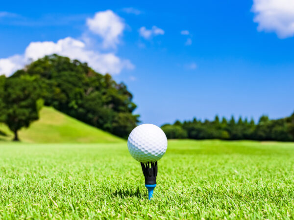 Die verschiedenen Rasenarten auf einem Golfplatz